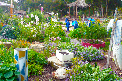 Stephanie Alexander Kitchen Garden Project at Braeview Primary, South Australia